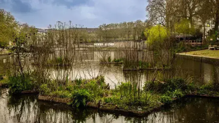 D'ici 2026, Nantes crée progressivement 50 oasis de biodiversité, comme ici sur les berges du quai Ceineray. © Garance Wester