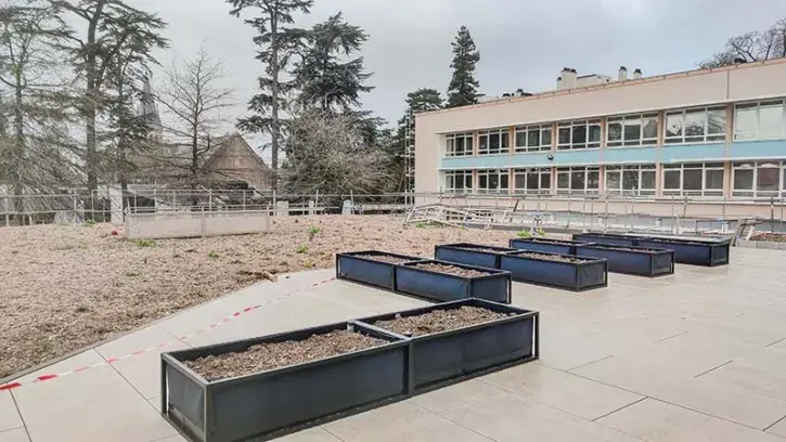 À l'étage, une terrasse plantée, accessible depuis les salles de classe, sera bientôt utilisée par les élèves.