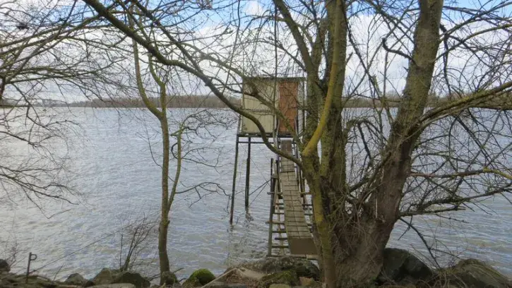 Derrière l'étang de la Croix-Rouge, une ancienne pêcherie à l'abandon sera transformée en observatoire pour offrir des vues sur le fleuve. © Le Vôtre Paysage