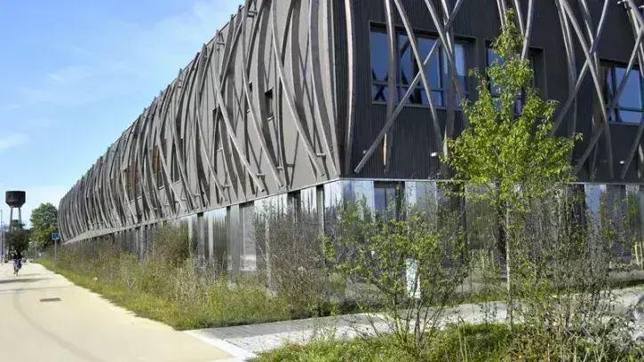Autour de l'école, la rue de la Papotière dévoile son nouveau visage. © Rodolphe Delaroque