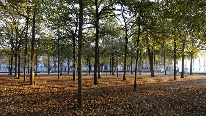 Cours Saint-Pierre, la Ville a testé l'hydroseeding, une méthode de semis par projection hydraulique, pour végétaliser l'espace. © Romain Boulanger