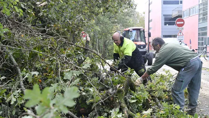 Travaux de dégagement de la voirie sur le campus du Tertre. © Rodolphe Delaroque